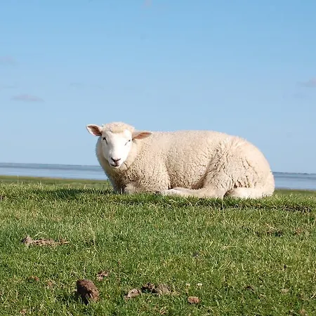 דירה Alte Pastorei Minsen